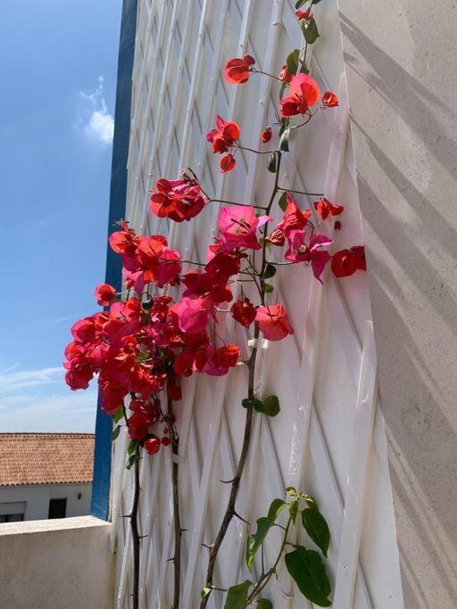 Joia Da Casa Villa Sobral  Eksteriør billede
